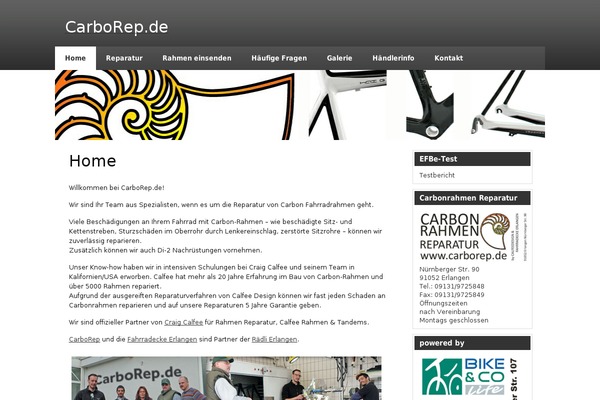 zeeSynergie theme site design template sample