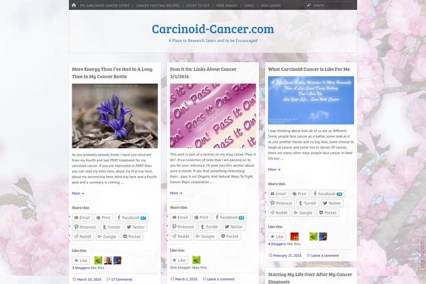 Emphaino theme site design template sample