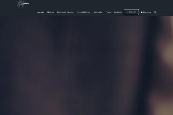 KLEO theme site design template sample