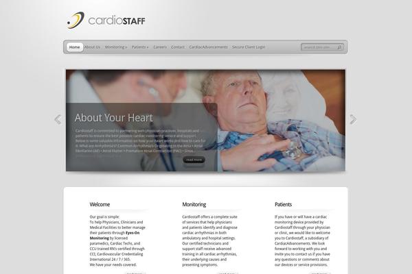 TheProfessional theme site design template sample