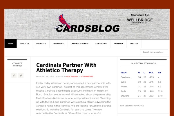 News Pro theme site design template sample