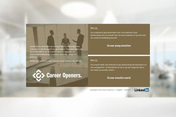 Co theme site design template sample