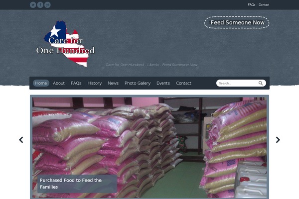 Relief theme site design template sample
