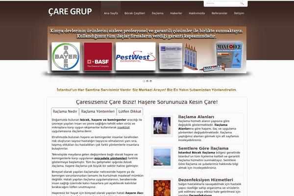 Tema theme site design template sample