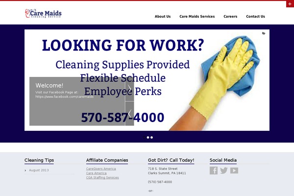 Biznez Lite theme site design template sample