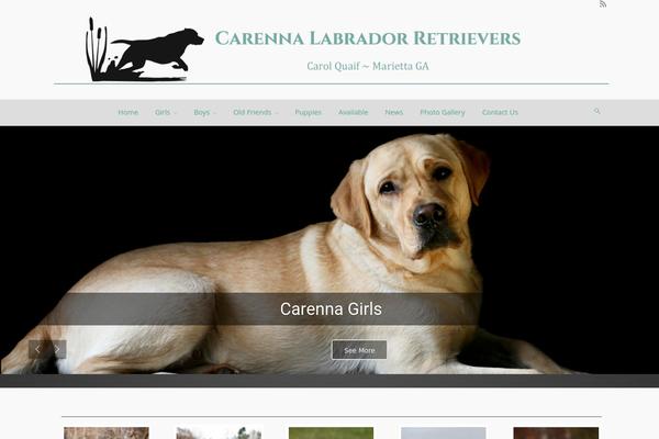 evolve theme site design template sample