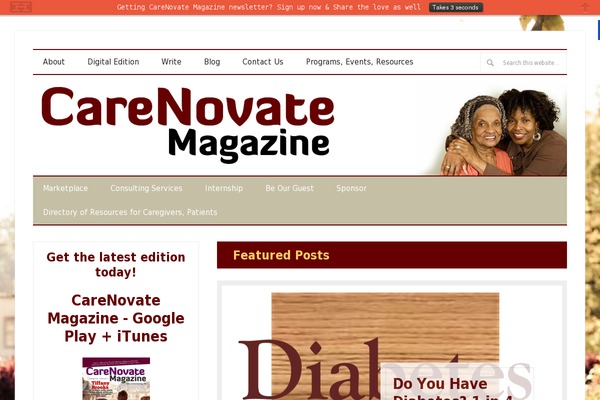 Silk Lite theme site design template sample