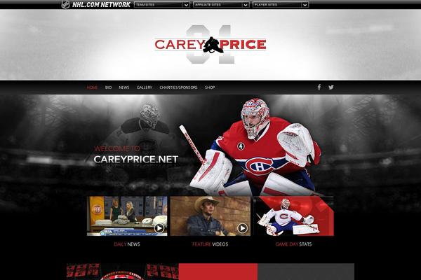 Price theme site design template sample