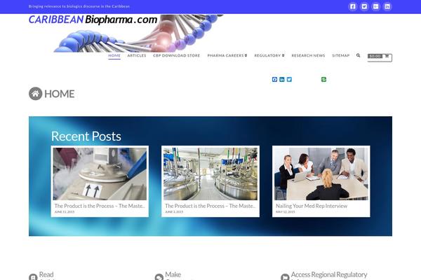 Site using Social-networks-auto-poster-facebook-twitter-g plugin