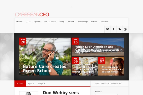 Nexus theme site design template sample