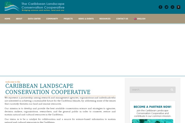 Sela theme site design template sample