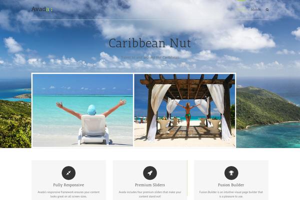 Evolve Plus theme site design template sample