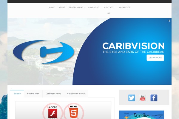 Salbii theme site design template sample