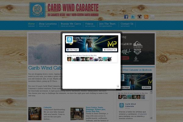 Centita theme site design template sample
