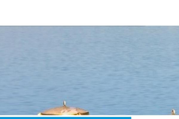 Site using Extensive Recent Posts Widget plugin