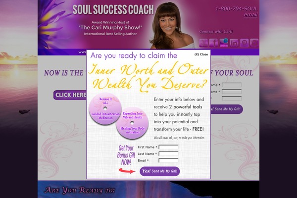 Insignia theme site design template sample