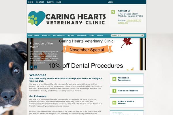 Site using Lifelearn-accessibility plugin