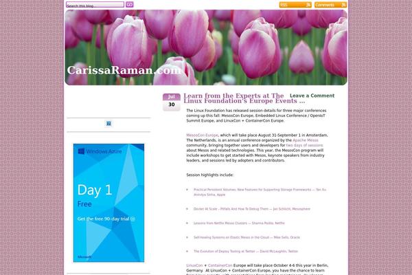 Pink Tulip theme site design template sample