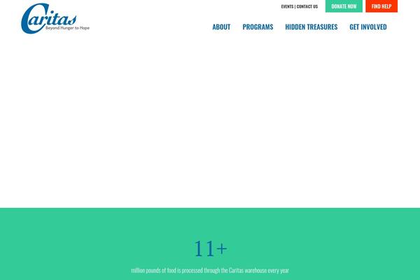 Caritas theme site design template sample