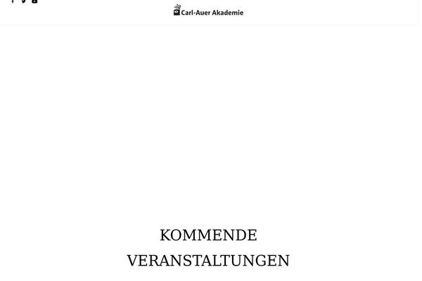 Site using Burst-statistics plugin