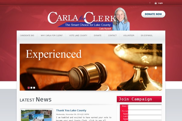 Candidate theme site design template sample