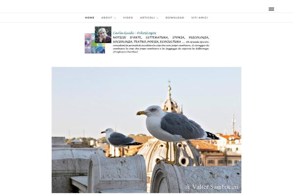 Site using Wps-visitor-counter plugin