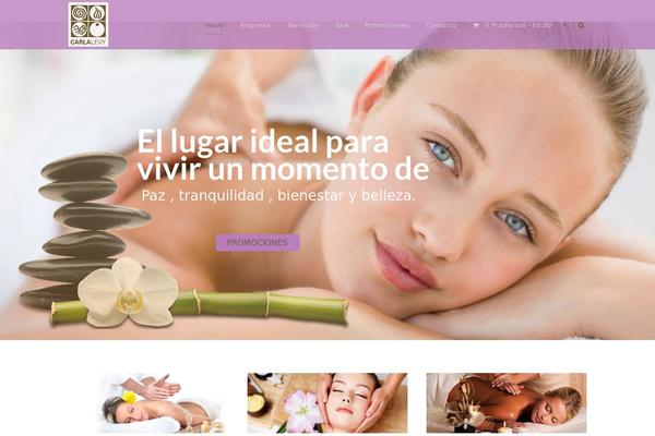 Theluxury-v1-02 theme site design template sample