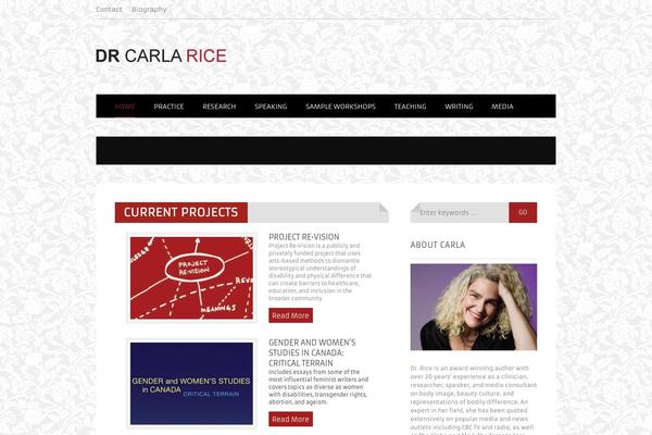 Fancytheme theme site design template sample
