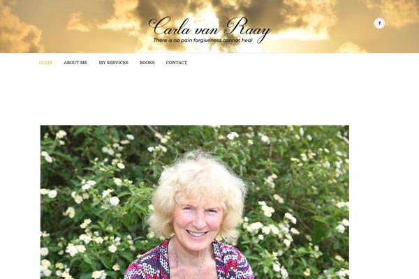 Writer-ancora theme site design template sample
