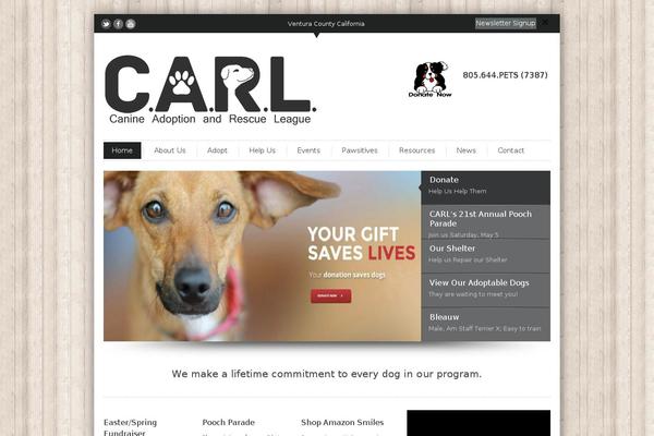 InfoWay theme site design template sample