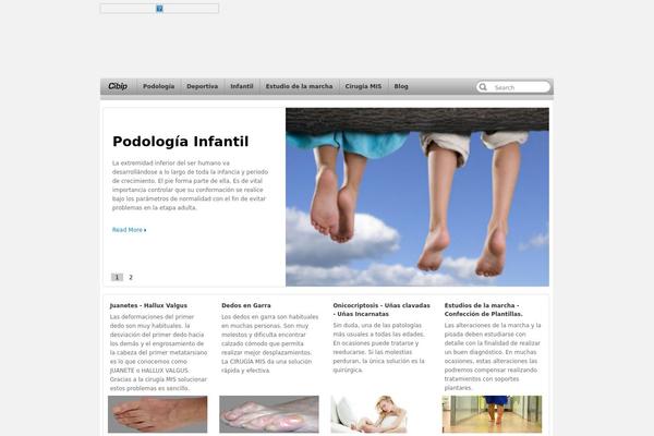application theme site design template sample