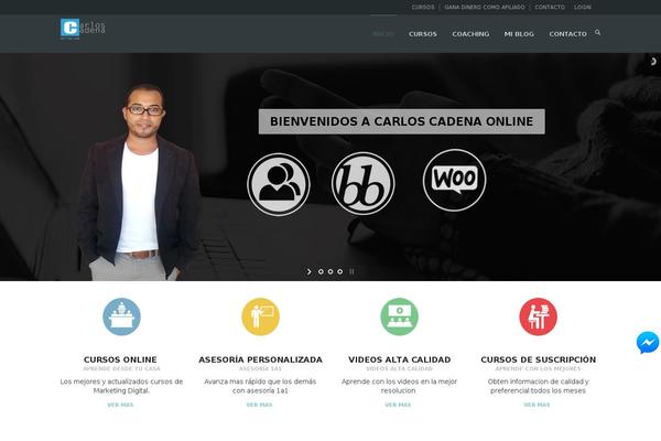 Site using Pixelyoursite-super-pack plugin
