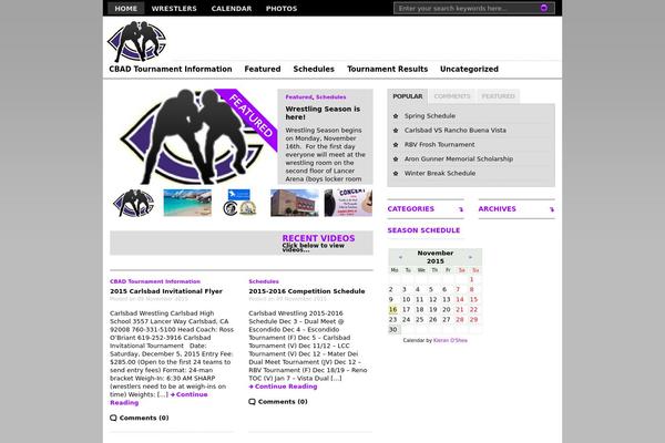 Premiumnews theme site design template sample