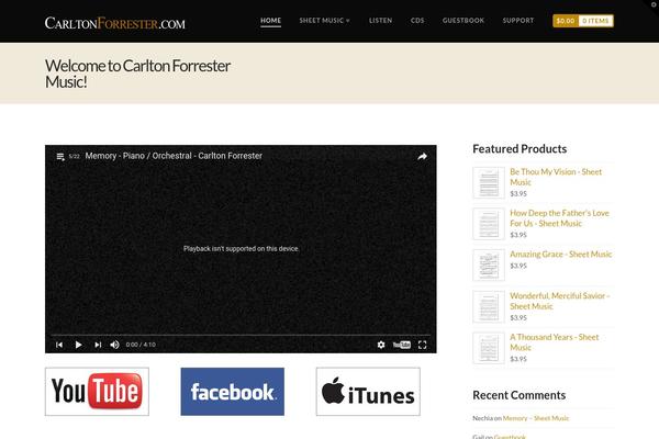 Function theme site design template sample