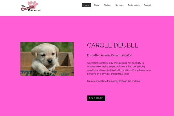 The Flat Shop theme site design template sample