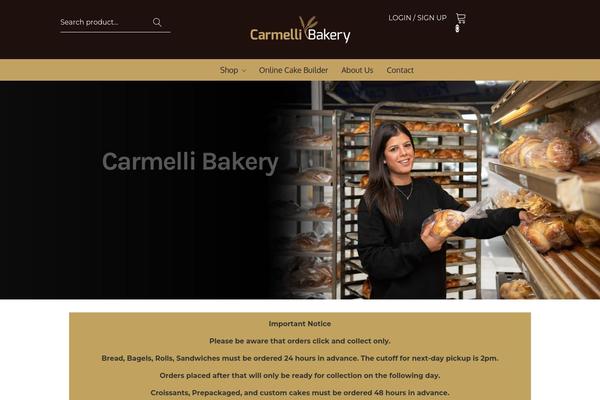 Site using Fancy-product-designer plugin