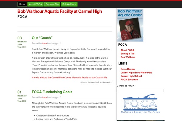 carmelpool.org site used Tembesi