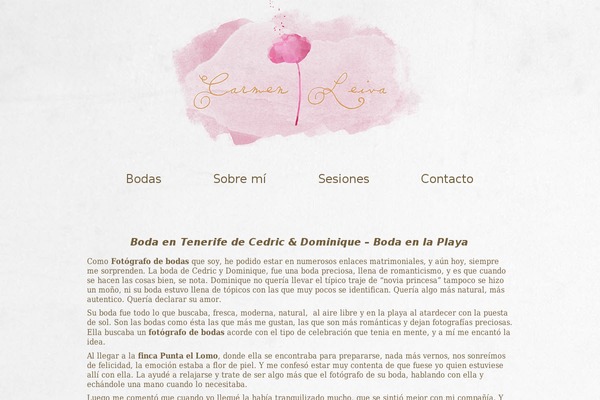 Bokeh_1_4_2 theme site design template sample