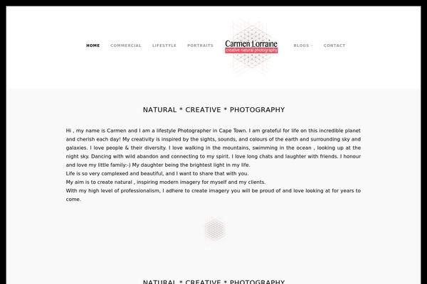 Vega theme site design template sample