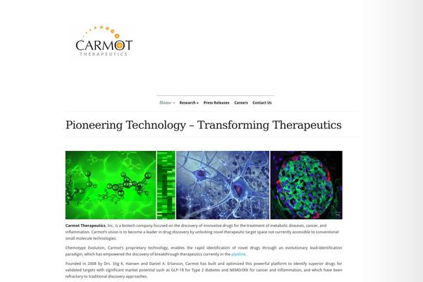 Modest theme site design template sample