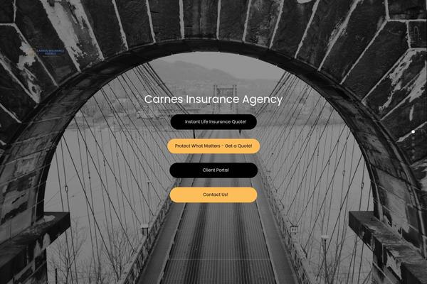 carnesinsurance.com site used Massive-dynamic