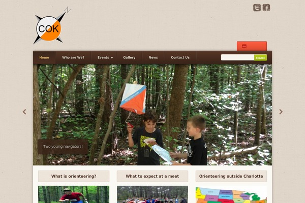 Site using AnyWP MailChimp plugin
