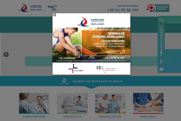 Carolina theme site design template sample