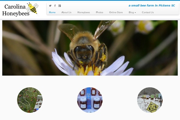 Site using Imark-interactive-toolkit plugin