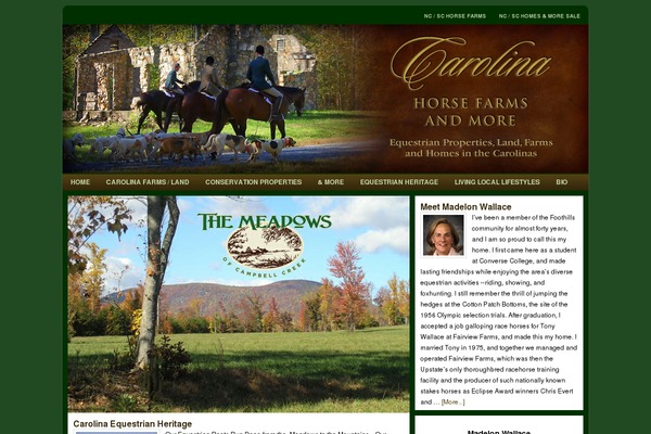 Sleek theme site design template sample