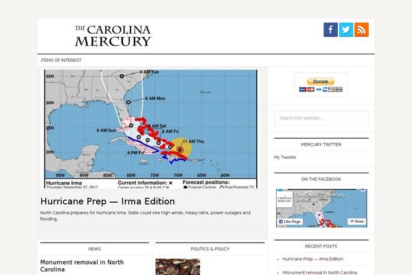 News Pro theme site design template sample