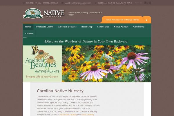 Incare theme site design template sample