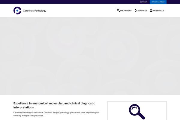 Site using Best WordPress FAQ plugin