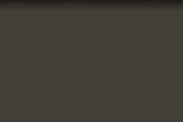 Ozeum theme site design template sample