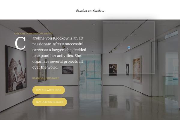 Writer-ancora theme site design template sample